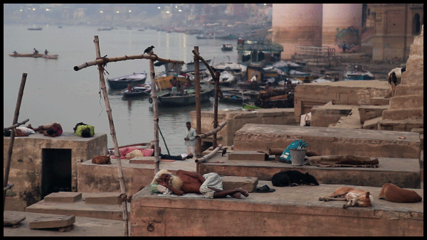 Varanasi-Old-man